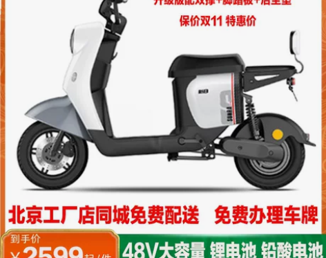 新日电动车 小丽诺小龟王新国标代步车电瓶成...