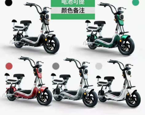 【55价】新国标电动车48V电瓶车双人电动...