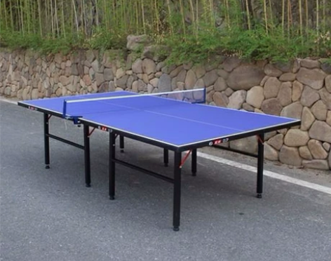 可折叠国标尺寸!全新乒乓球桌球台成人室内标...