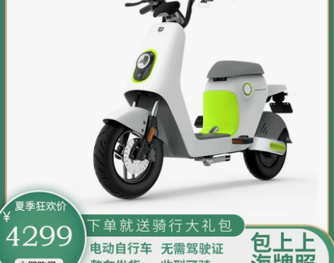 向往的生活同款 绿源48V26A智能锂电