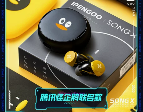 sony索尼2022年新款无线蓝牙耳机真无...