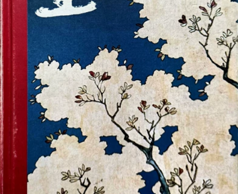贾平凹《暂坐》,略有磨损 感兴趣的话点“我...