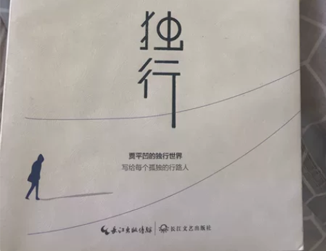 文学青春小说，里面的故事很有特点，是孤独中...