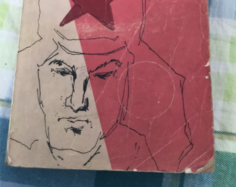 钢铁是怎样炼成的，奥斯特洛夫斯基，八零年人...