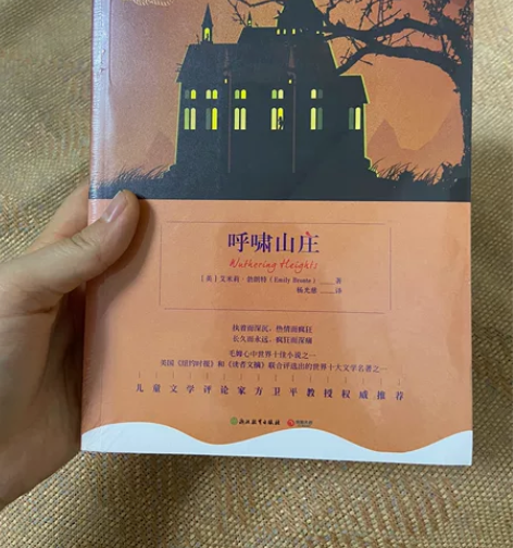 全新未拆封《呼啸山庄》,感兴趣的直接拍 感...