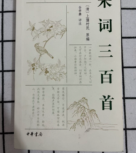 宋词三百首 (清)上疆村民 编 ，中国古诗...