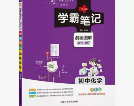 初中化学公式定律基础知识讲解教材知识点清单...