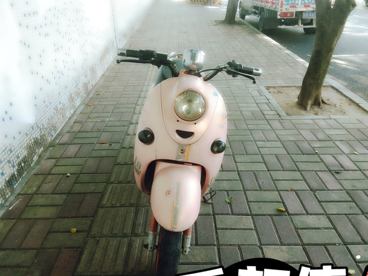 小毛驴转让。小刀可以。大刀勿扰，谢谢。装给...