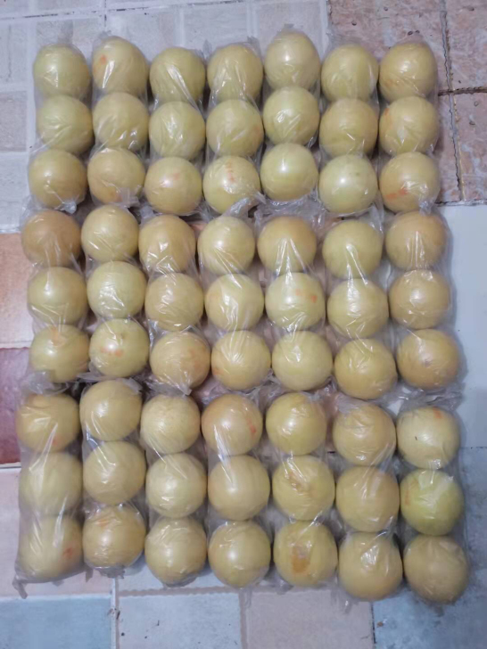 出小朋友用的网球海绵球，63个90元包邮。...