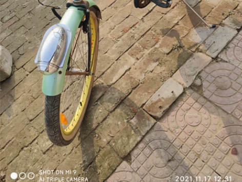 SCHWINN施文，诗文沙滩自行车，复古老...