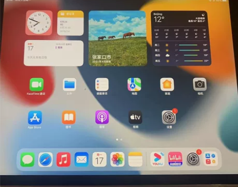 ipad 2021 64g的 还在保 成色...