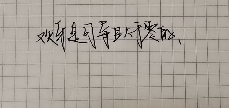 代写 不写太长的