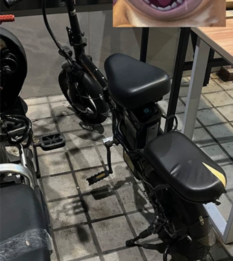 闲置电动车,挺新的,车没毛病,续航25km...