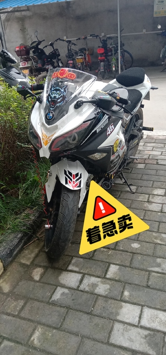 小忍者250cc机车，话不多说，自己看成色...
