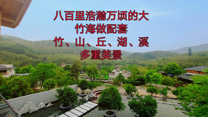宜兴江左凤凰（竹海店） | 暑期抢先定！