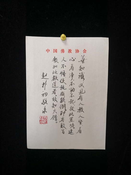 B98赵朴初书法