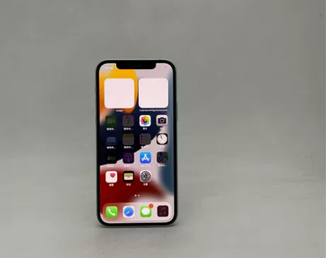 Apple/苹果 iPhone 12 二...