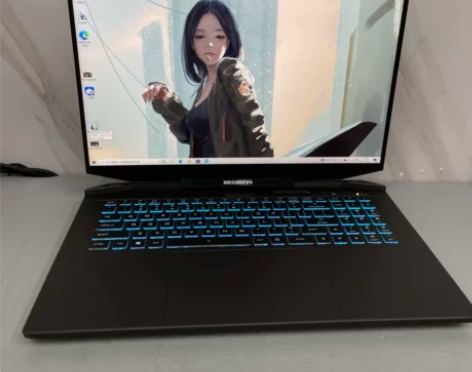 机械革命钛坦plus i7 11800h ...