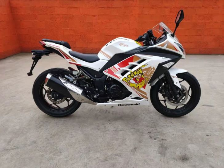 250川崎小忍者