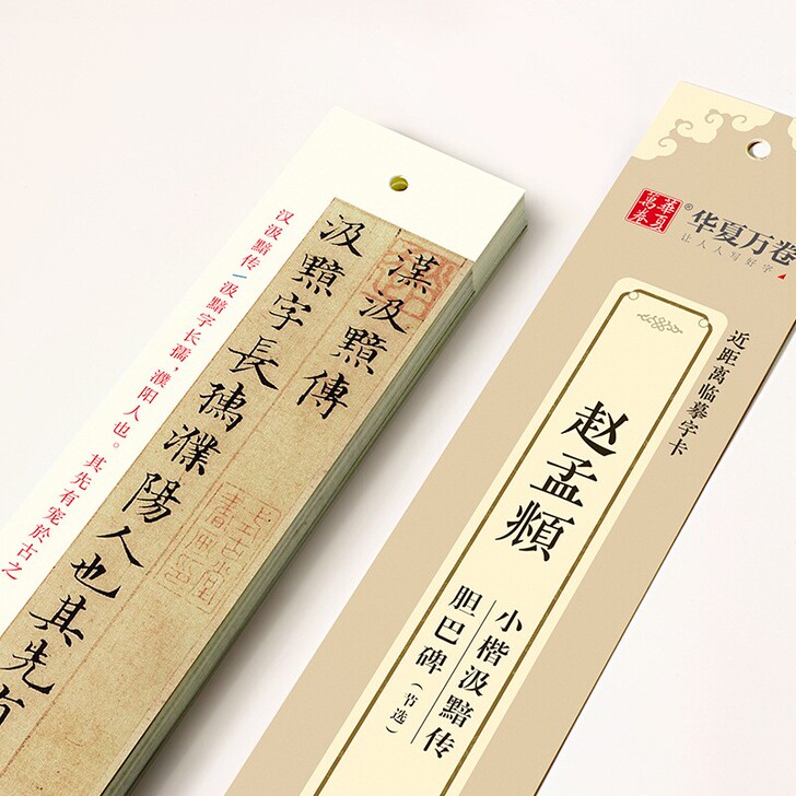 学书法赵孟頫小楷汲黯传 胆巴碑节选近距离临...