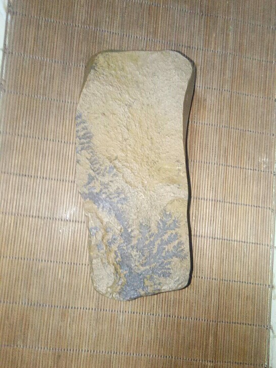 镇纸，带水草纹化石镇纸，喜欢天然的拍，尺寸...