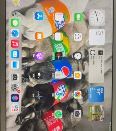 iPad第8代,2020款10.2寸,Wi...