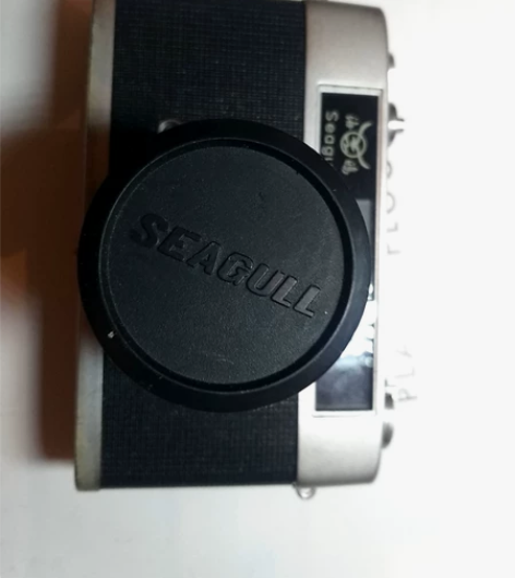 海鸥205，老胶卷照相机，原装皮套，品相完...