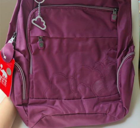 爱华仕大容量双肩包电脑包 全新带吊牌包邮 ...