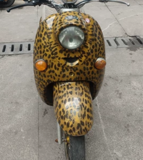 美女一手车豹纹小龟王,力量大跑的远,本店专...