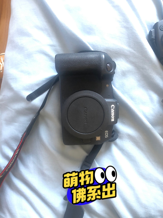 佳能rp2019年购入转接环+ef501....