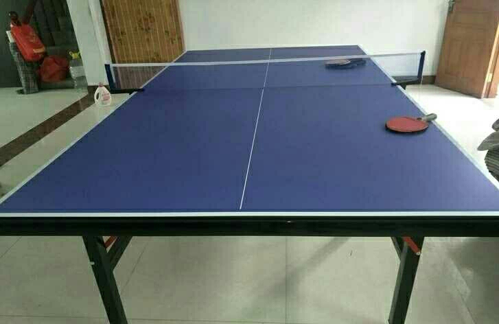 可折叠！国标尺寸！乒乓球桌球台成人室内标准...