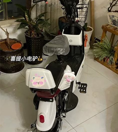 低价电动车出售 牌照 合格证都有 买了直接...