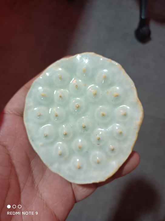 老窑湖田瓷莲蓬
