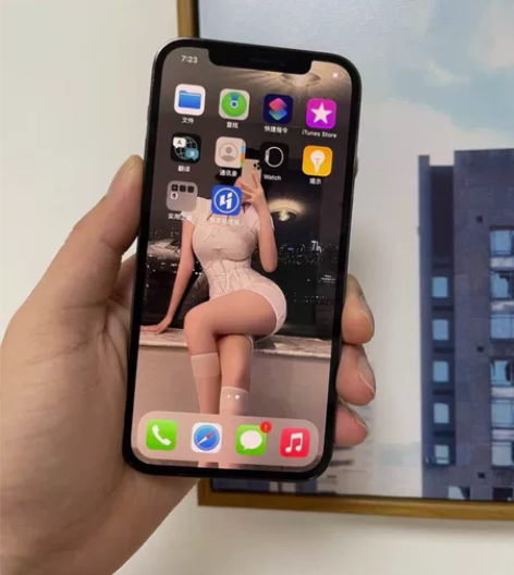 iPhone 12 Promax  有面容...