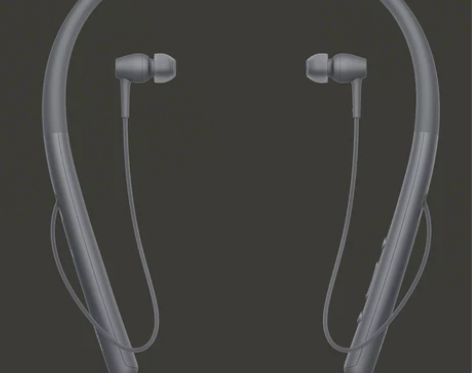 Sony/索尼 WI-H700 入耳式无线...