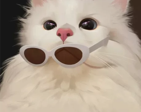 卡姿兰粉底液未使用全新，BB霜加一个补充装...