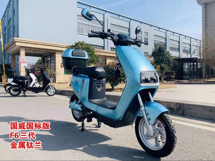 国威牛款,超能版,国标电动车可上绿牌,60...