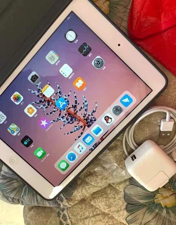 苹果iPad mini2 7.9寸 国行平...