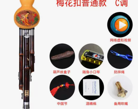葫芦丝乐器初学者成人小学生自学入门零基础胡...
