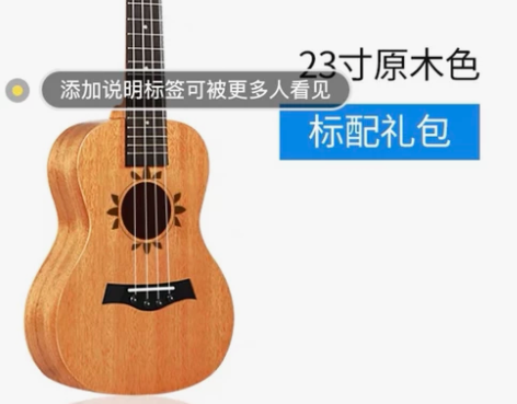 ?wellburn尤克里里女初学者学生成人...