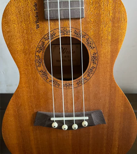 尤克里里 一时兴起买的,很久没用了,现在搬...