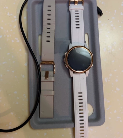 佳明 GARMIN 运动手表 FENIX ...