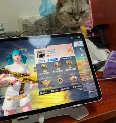 出ipad pro2021 11寸要的私聊...