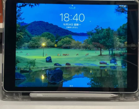 学习网课ipad 2020 2019 20...