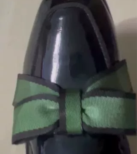 闲置崭新的骆驼牌女鞋试过没穿过，纯皮亮皮柔...