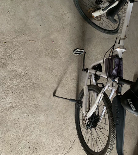 一辆德国ALLMOVE折叠自行车成色如图 ...