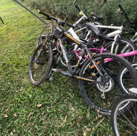 大行美利达捷安特喜德盛迪卡侬自行车80起总...