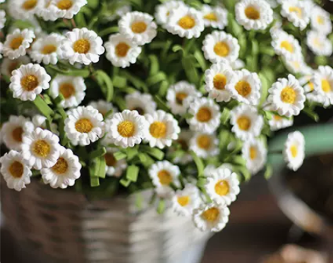 掬涵田园雏菊仿真花洋甘菊假花餐桌花束摆件干...
