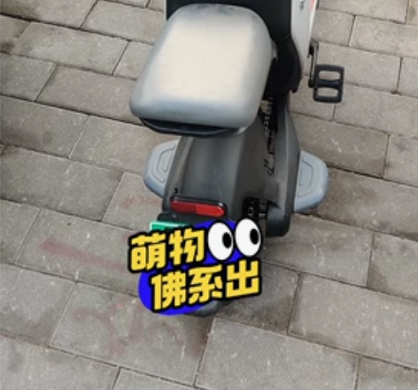 九号电动车C30    APP可过户 跑了...