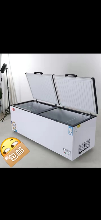 全新冷柜【顺丰包邮】冷柜商用大容量  纯铜...